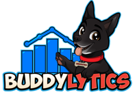 Buddylytics