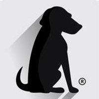 BlackDog Advertising