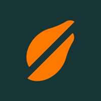 Papaya Search