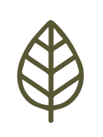 The AD Leaf