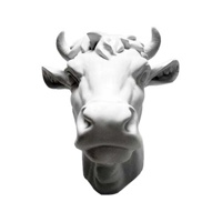 Regular Animal