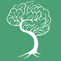 Treetop Growth Strategy
