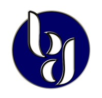 bluedress INTERNET MARKETING