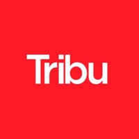 Tribu