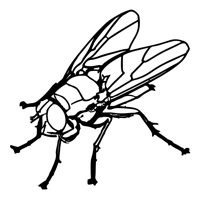 Flypost Agency