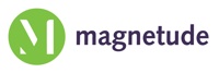 Magnetude Consulting