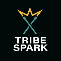 Tribe Spark Media