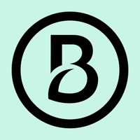 Brandmint