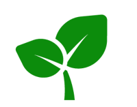 Organical - The SEO Experts