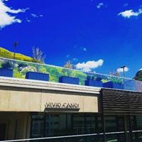 Vivid Candi