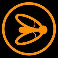Bigbuzz Marketing Group