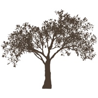 Rosenberg Advertising