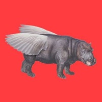 Flying hippo