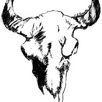 Montana Group