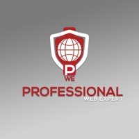 Professional Web Experts