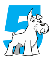 Five Dog Solutions