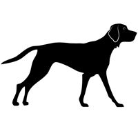 Hunter Digital Marketing