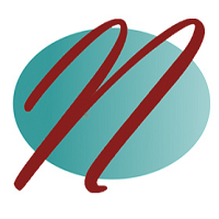 NetVision Technologies