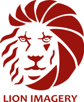 Lion Imagery LLC